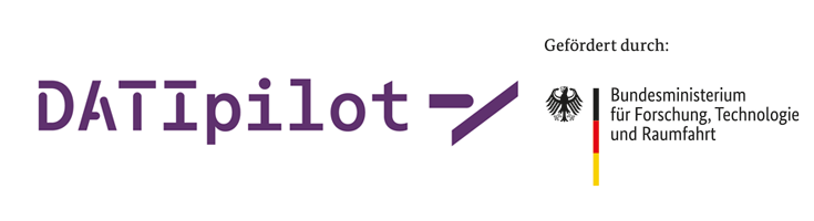 Logo DATI Pilot BMFTR